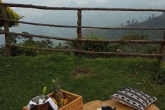 Picnic at Pilkington Estate