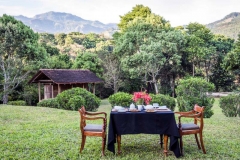 Private Dining on Lawn